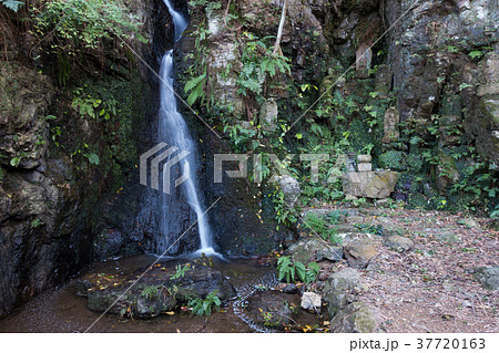 滝頭不動滝　[愛知県田原市] 37720163