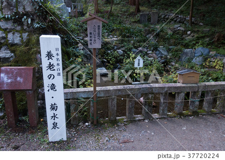 [岐阜県]　養老の滝　菊水泉 37720224