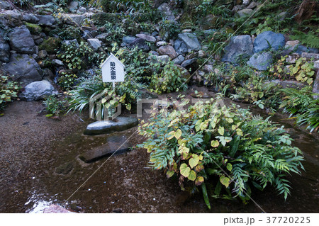 [岐阜県]　養老の滝　菊水泉 37720225