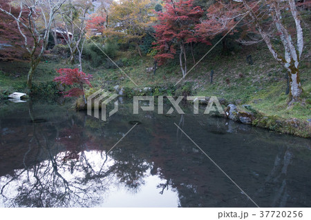 [岐阜県]　養老の滝　不老ヶ池 37720256