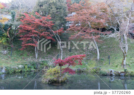 [岐阜県]　養老の滝　不老ヶ池 37720260
