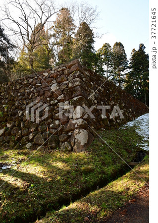 仙台城20 37721645