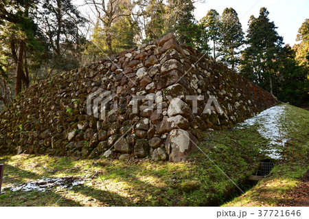 仙台城21 37721646