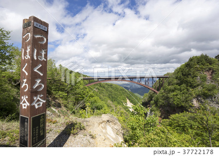 新緑が美しい「つばくろ谷」とアーチ形の曲線美「不動沢橋」を望む絶景スポット 37722178