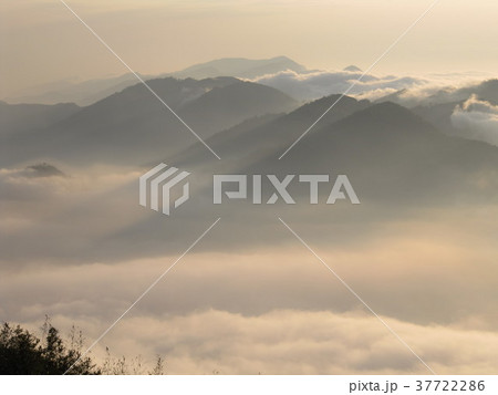 阿里山 うんかい 雲海 37722286