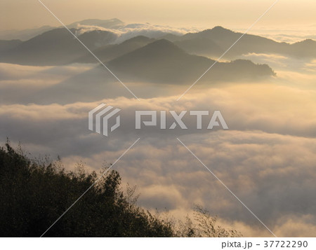 阿里山 うんかい 雲海 37722290