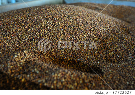 台湾 嘉義 分子 37722627