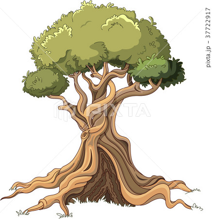 Majestic Tree 37722917