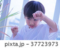空手の演武のまねをする男の子 37723973