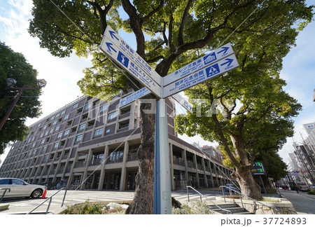 日本の横浜都市景観 横浜市役所やサイン 中華街 山下公園 横浜スタジアム 赤レンガ倉庫 の写真素材