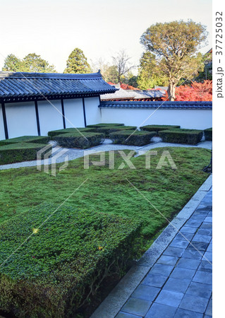 東福寺の西庭 37725032