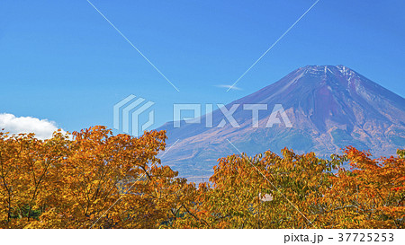紅葉と富士山　16：9 37725253