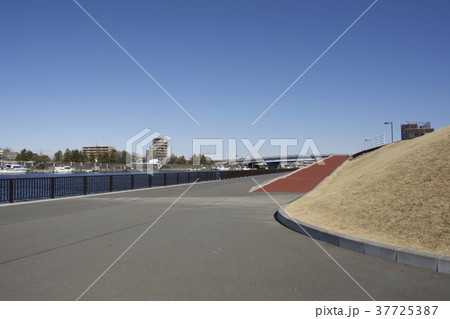 千葉県市川市 1月 37725387