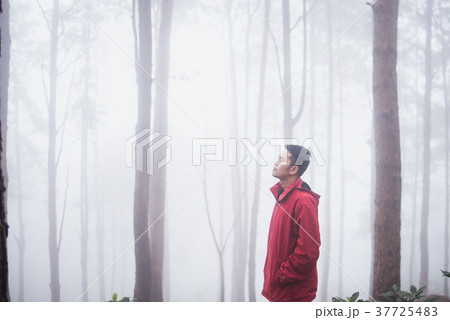 man travel in the pine forest winter man travel in the pine forest winter 37725483