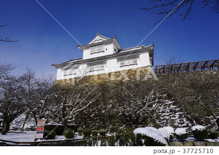 雪の舞う岡山県津山市の桜の名所「鶴山公園（津山城趾）」：備中櫓 37725710