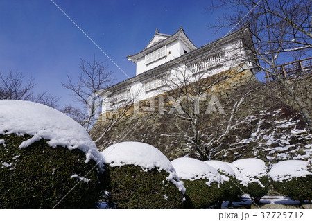 雪の舞う岡山県津山市の桜の名所「鶴山公園(津山城趾)」:備中櫓 雪の舞う岡山県津山市の桜の名所「鶴山公園(津山城趾)」:備中櫓 37725712