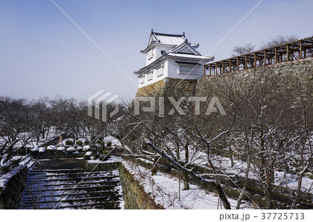 岡山県津山市の桜の名所「鶴山公園(津山城趾)」:備中櫓 岡山県津山市の桜の名所「鶴山公園(津山城趾)」:備中櫓 37725713