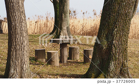 旧谷中村役場跡の一帯 37726005