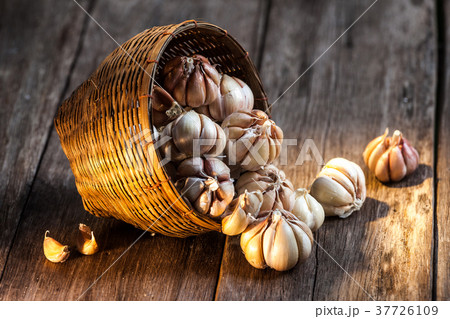 whole garlic in basket 37726109