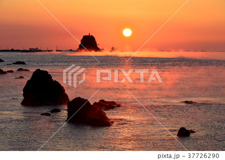 中土佐の朝日 37726290
