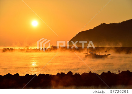 中土佐の朝日 37726291