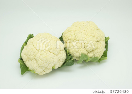 カリフラワー カリフラワー 37726480