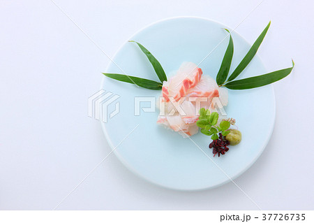 真鯛のお刺身 37726735