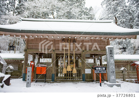 冬の金剛山 冬の金剛山 37726801
