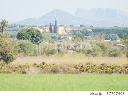 Peaceful landscape scene on Mallorca, Spain 37727403