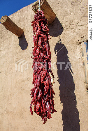 ニューメキシコ州タオスプエブロ ニューメキシコ州タオスプエブロ 37727857