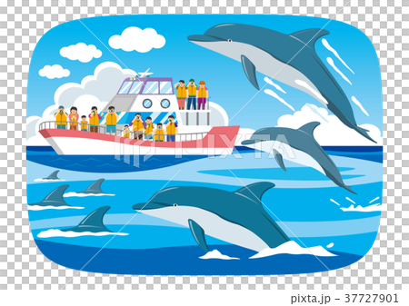 イルカウォッチング 37727901