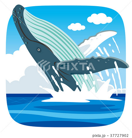 ジャンプするクジラのイラスト素材