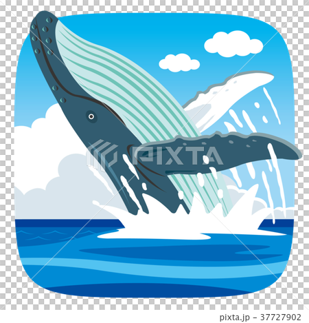 ジャンプするクジラ 37727902