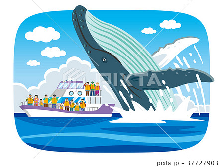ホエールウォッチング 37727903