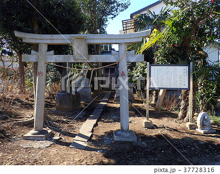 みたらしさま(白井市) みたらしさま(白井市) 37728316