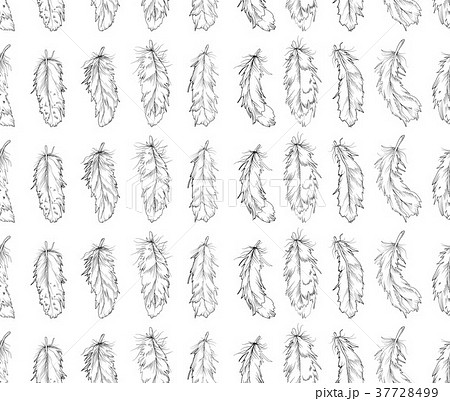 black linear Feather bird seamless pattern  37728499