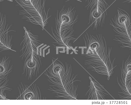 Pavonine Feather peacock, bird seamless pattern 37728501