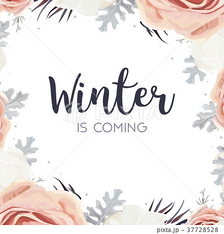 Vector floral design card. Pink peach garden Roses 37728528