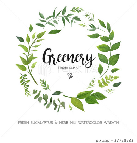 Floral vector card Design with green leaves wreath 37728533