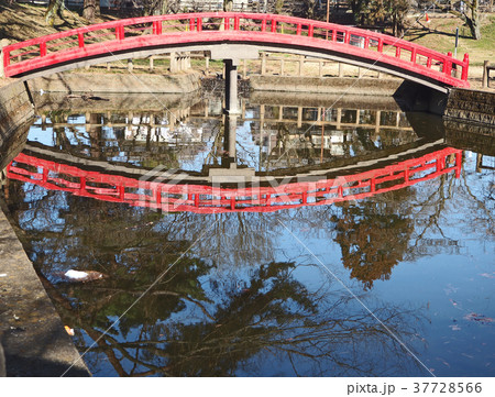 太鼓橋の水鏡 太鼓橋の水鏡 37728566