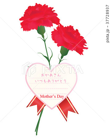 母の日 母の日 37728937