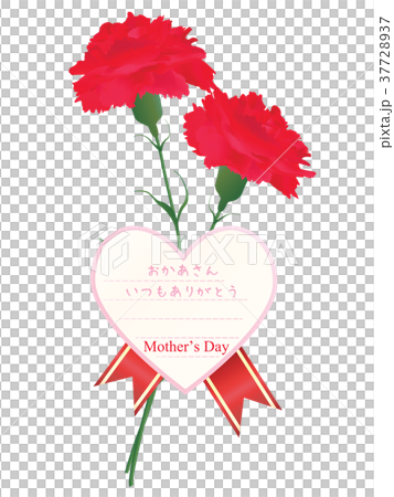 母の日 母の日 37728937