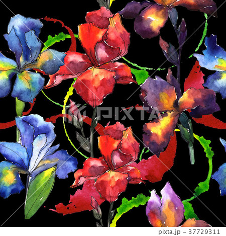 Wildflower iris flower pattern in a watercolor Wildflower iris flower pattern in a watercolor 37729311