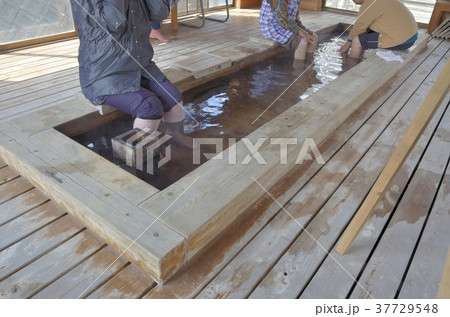 伊豆稲取文化公園の足湯 37729548