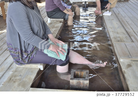 伊豆稲取文化公園の足湯 伊豆稲取文化公園の足湯 37729552