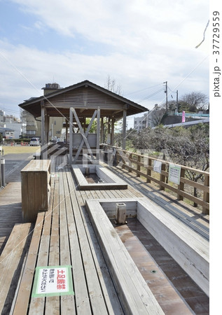 伊豆稲取文化公園の足湯 伊豆稲取文化公園の足湯 37729559