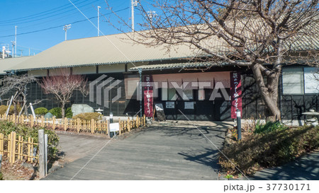 伊豆稲取文化公園の雛の館 37730171