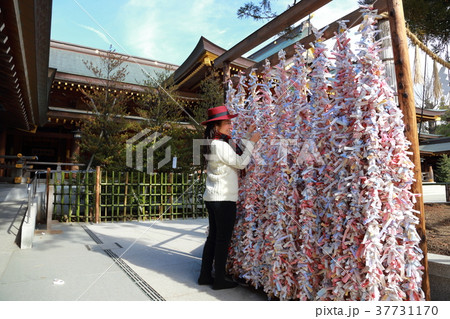神社で御神籤を結ぶ女性 神社で御神籤を結ぶ女性 37731170