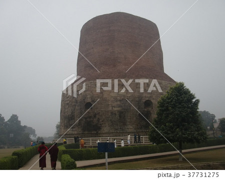 サールナート（鹿野苑）のダーメク大塔 37731275