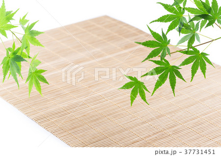 モミジの背景 37731451